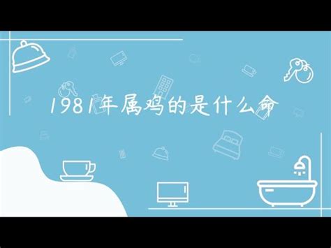 1981年五行屬什麼|1981年屬雞人竟是木雞命，一生命運分析，準的不要不。